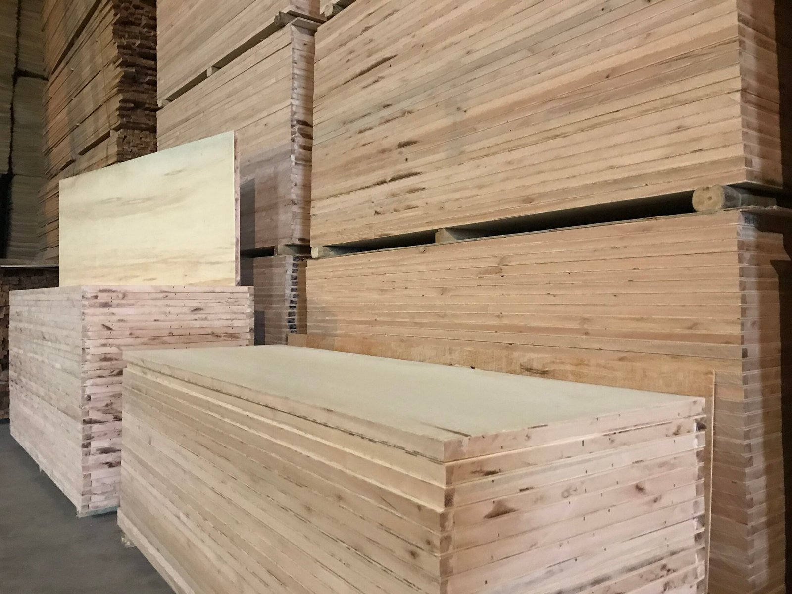 Porta Lisa para Pintura - Imagem 2